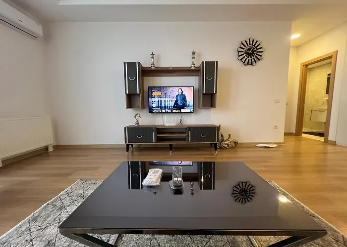 Cozy Homes 1 Room 1 Living Room Apartment